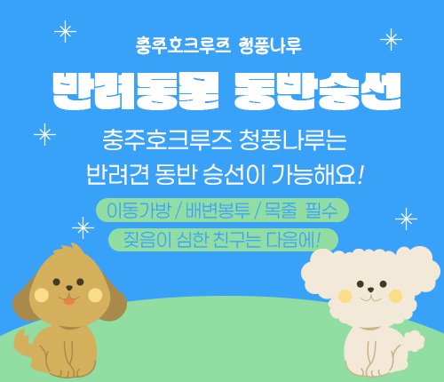 반려견동반승선